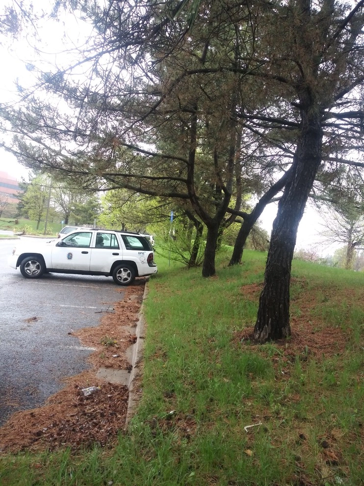 McCormick Drive by RH Hilarios Landscaping LLC - Photo 20