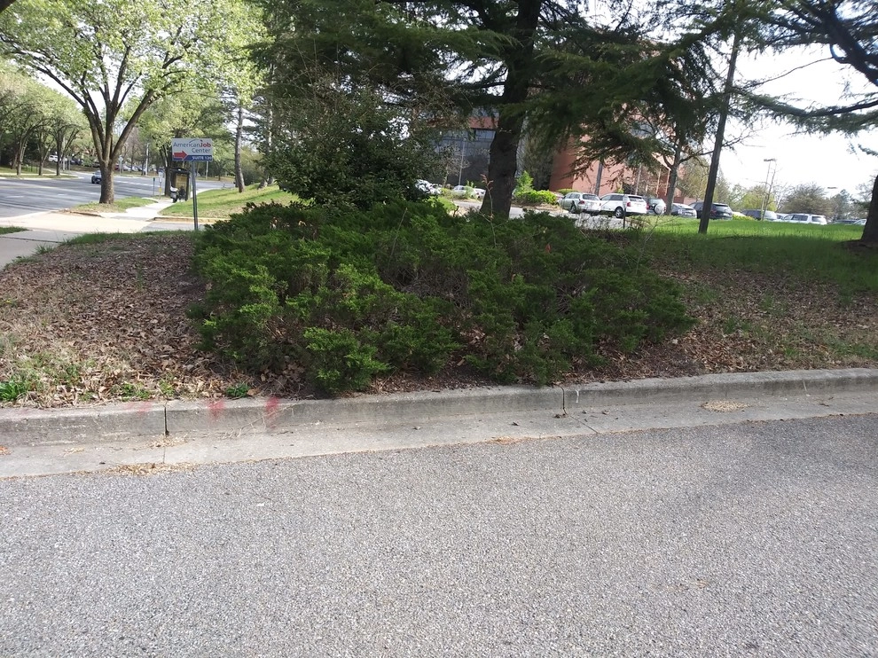McCormick Drive by RH Hilarios Landscaping LLC - Photo 16