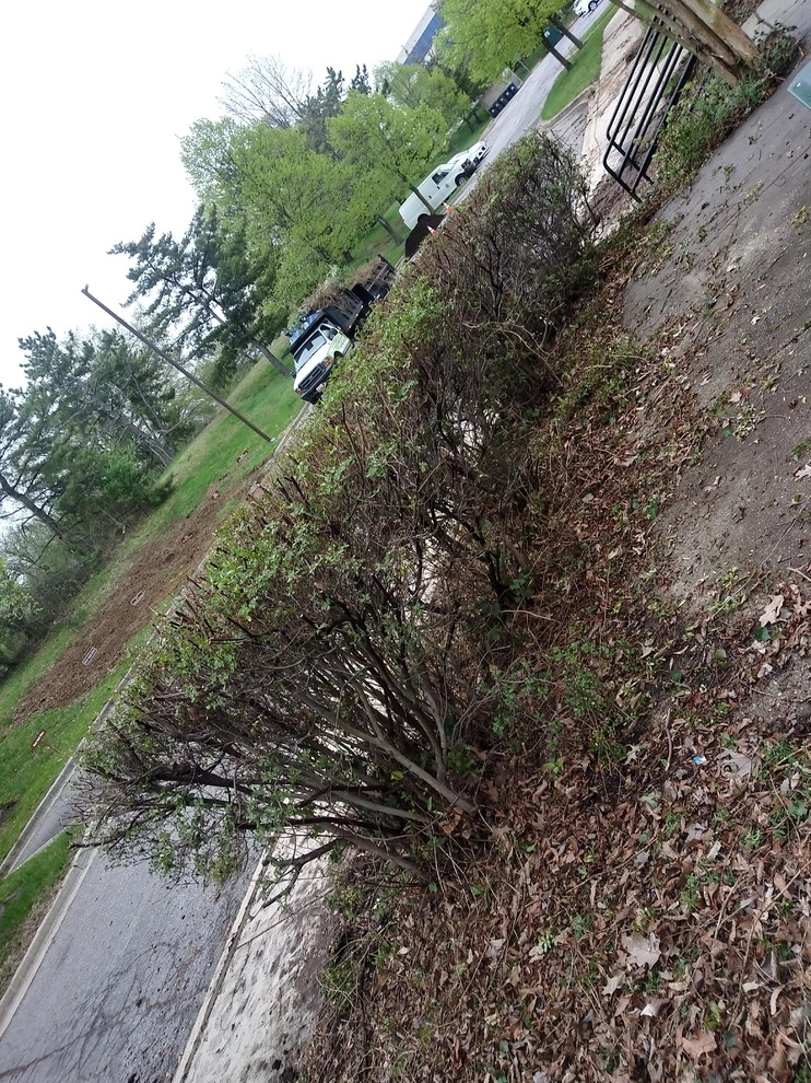 McCormick Drive by RH Hilarios Landscaping LLC - Photo 10