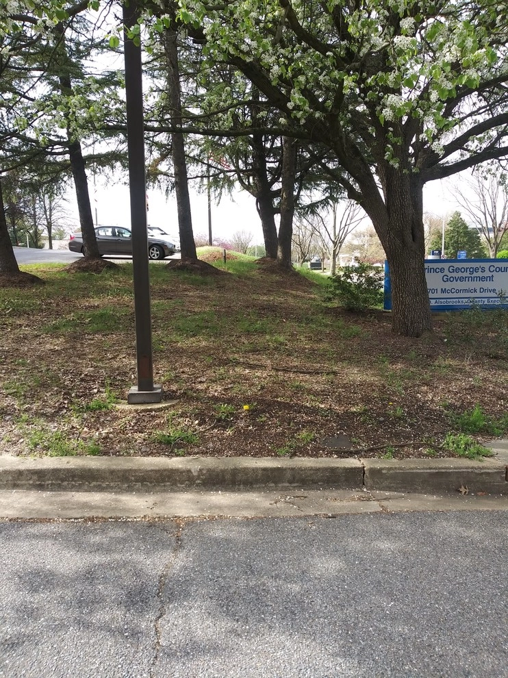 McCormick Drive by RH Hilarios Landscaping LLC - Photo 22