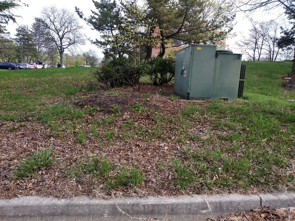 McCormick Drive by RH Hilarios Landscaping LLC - Photo 3