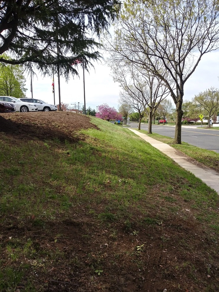 McCormick Drive by RH Hilarios Landscaping LLC - Photo 9