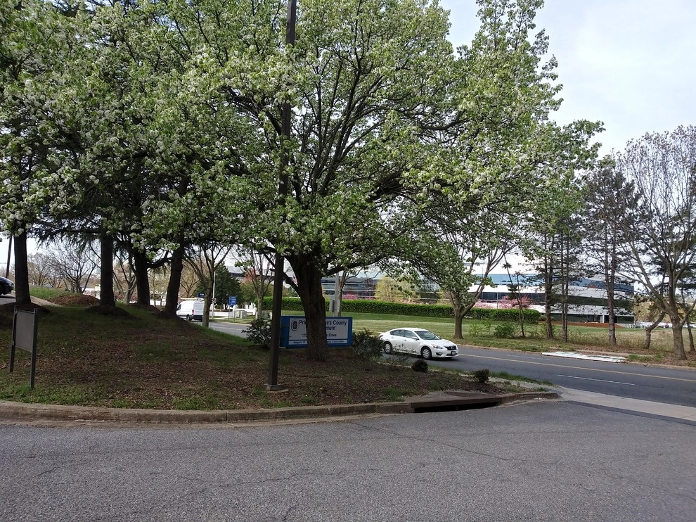 McCormick Drive by RH Hilarios Landscaping LLC - Photo 17