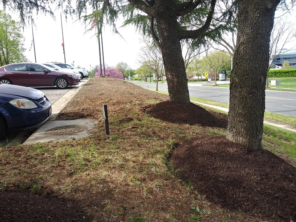 McCormick Drive by RH Hilarios Landscaping LLC - Photo 23