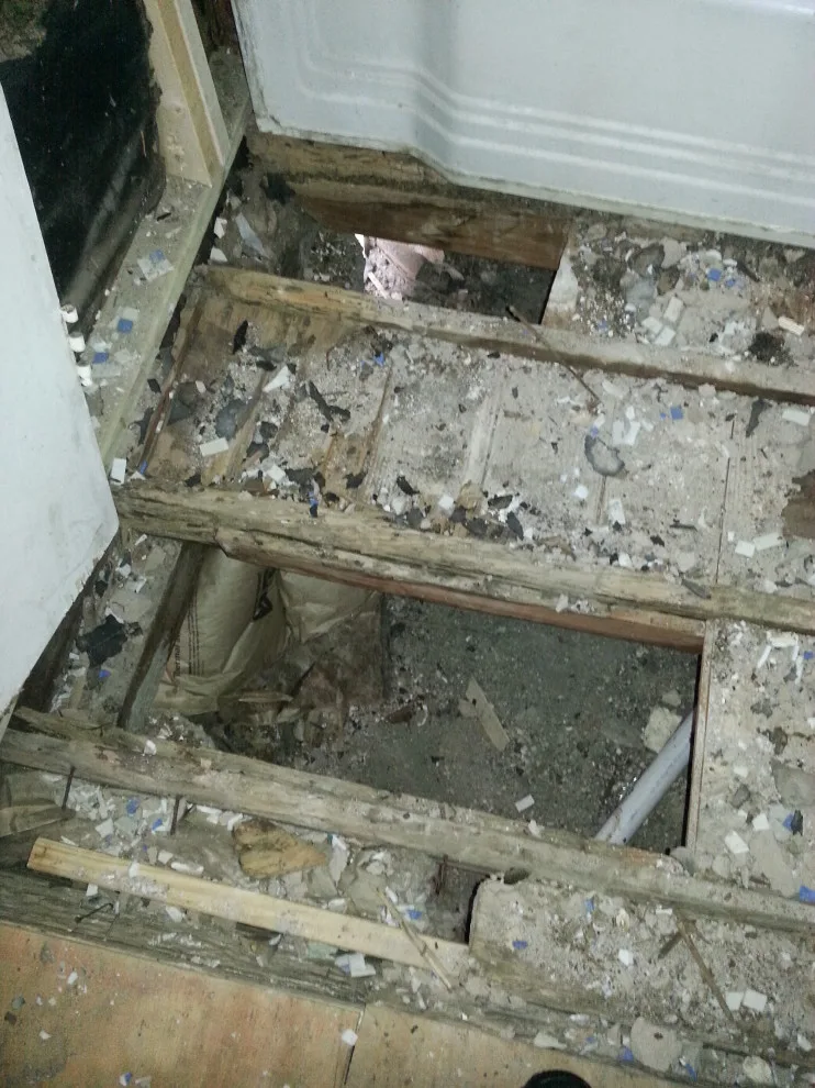 Heritage Area Restoration by Veradon Solutions, LLC - Photo 5