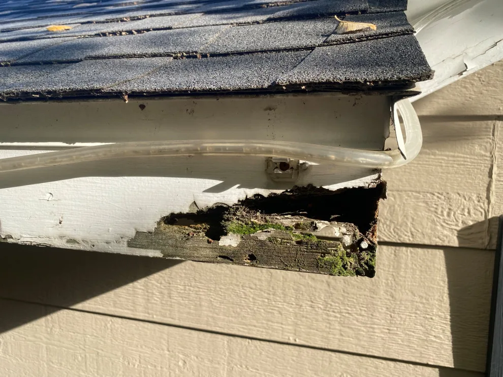 My Initiative by Sovann Handyman Rochester - Photo 105