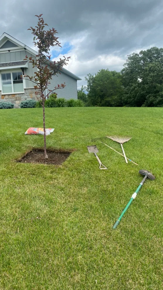 My Initiative by Sovann Handyman Rochester - Photo 79