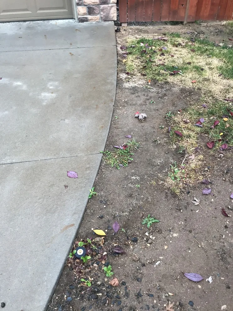 Driveway Expansion with Concrete by Handyman Hero - Photo 9
