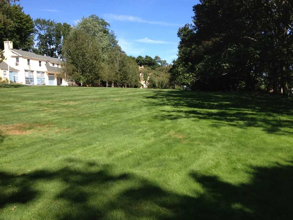 Richard Jones Landscaping LLC - Photo 3