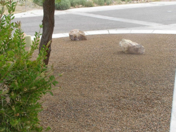 Rim Country's Rock N Yard - Photo 2