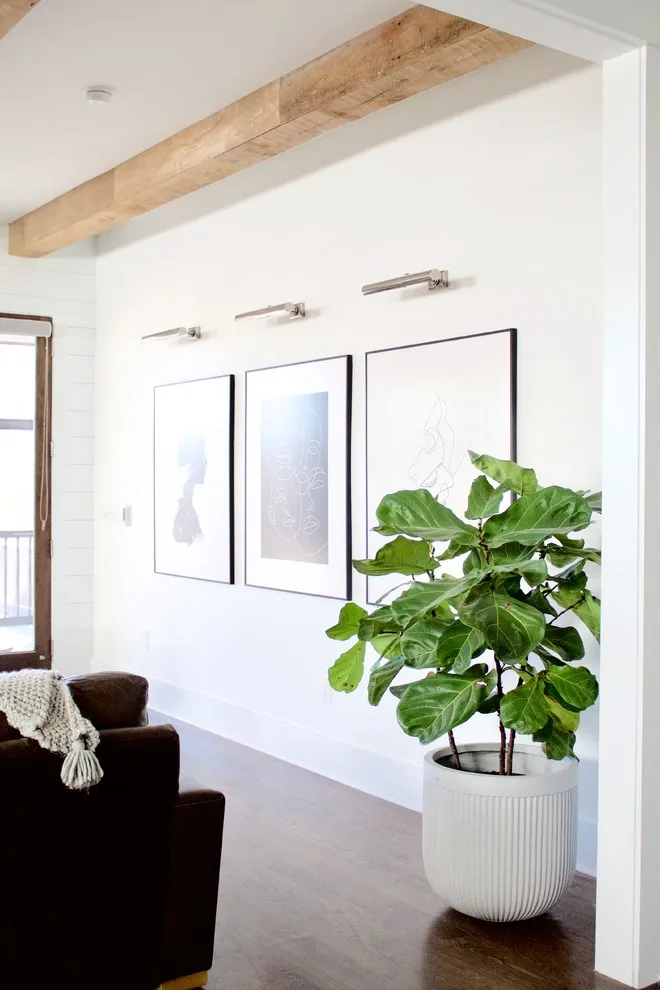 Nashville | Contemporary Nature by Hoelzeman Home Improvement - Photo 21