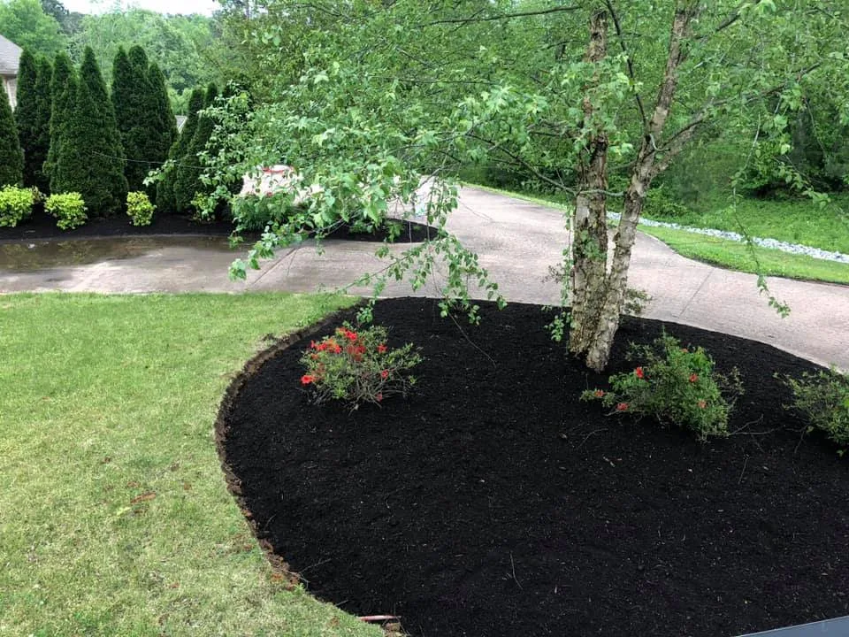 Hudson Handyman Services - Photo 10