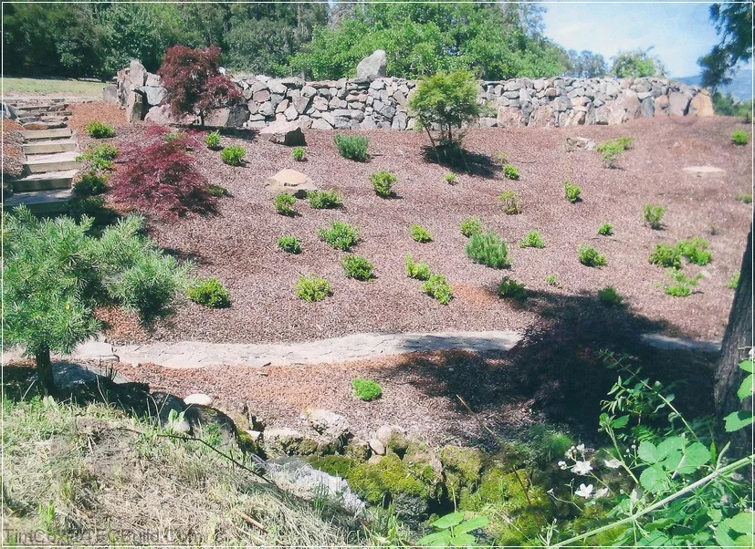 Rocky Gardens by TFC Build - Photo 3