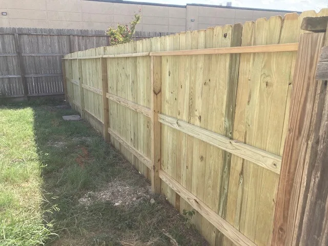 Pine Replacement Treatment by Veradon Solutions, LLC - Photo 4