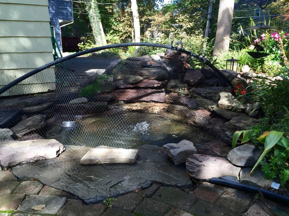 Rochester New York Pond Maintenance Services by Rochester New York Pond Maintenance Services - Photo 6