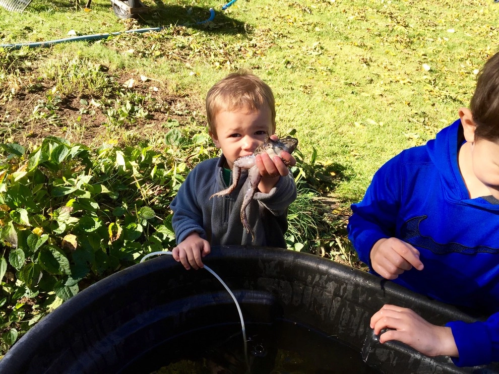 Rochester New York Pond Maintenance Services by Rochester New York Pond Maintenance Services - Photo 8