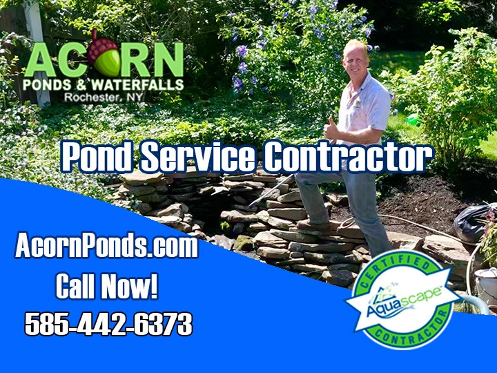 Rochester New York Pond Maintenance Services - Photo 8