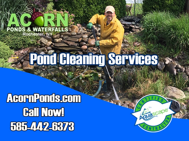 Rochester New York Pond Maintenance Services - Photo 14