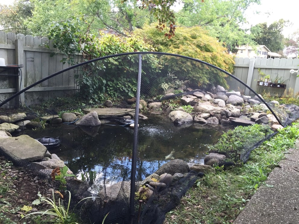 Rochester New York Pond Maintenance Services by Rochester New York Pond Maintenance Services - Photo 4