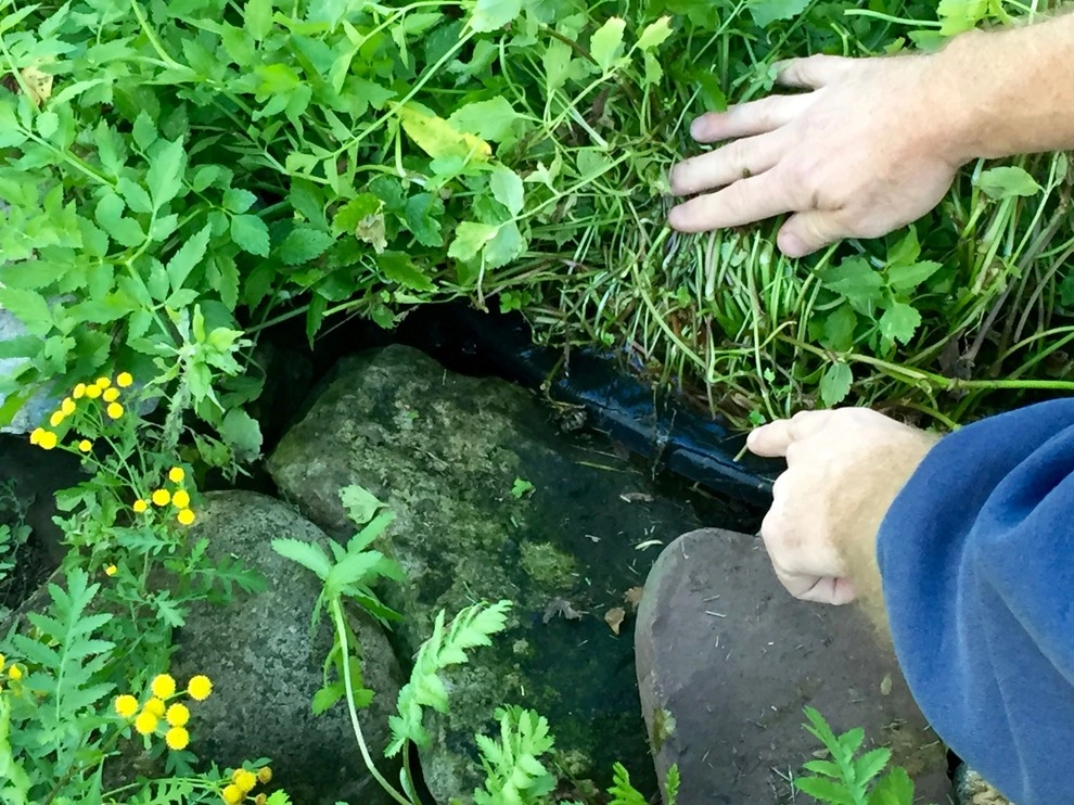 Rochester New York Pond Maintenance Services by Rochester New York Pond Maintenance Services - Photo 7