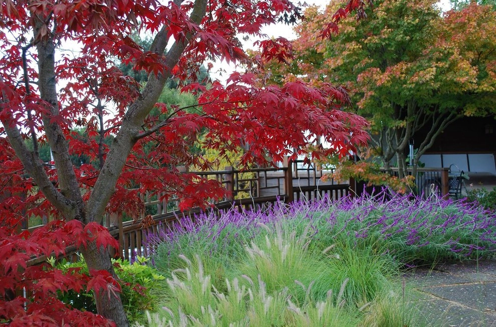 Our Work by Rock & Rose Landscapes San Francisco - Photo 3