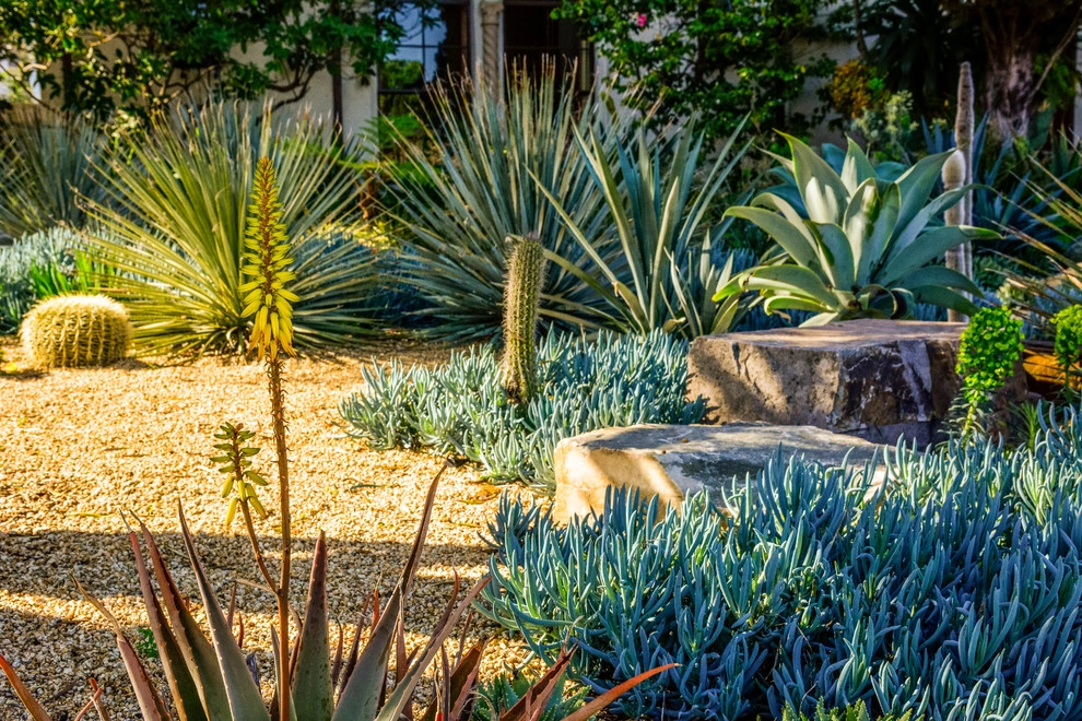 Lawn Conversion by Rock & Rose Landscapes San Francisco - Photo 5