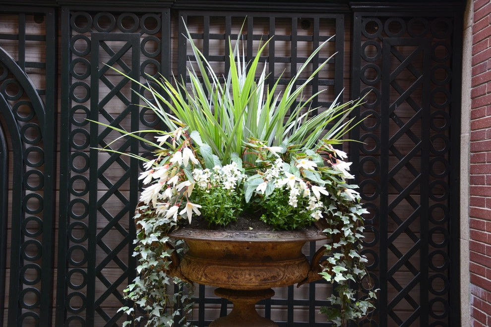 Courtyard Garden by Rock & Rose Landscapes San Francisco - Photo 4