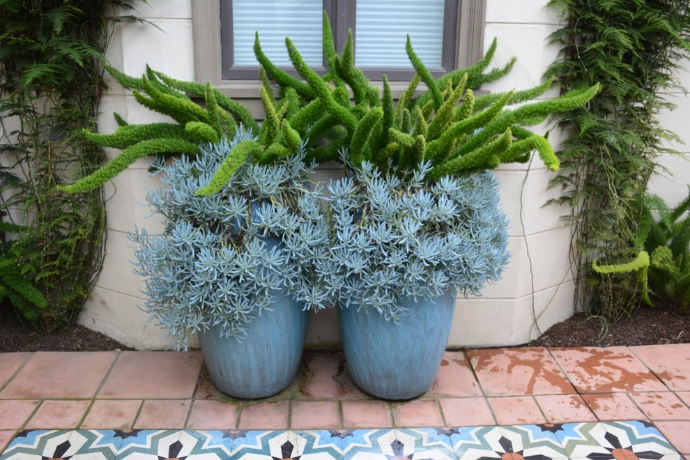 Marina Garden by Rock & Rose Landscapes San Francisco - Photo 3