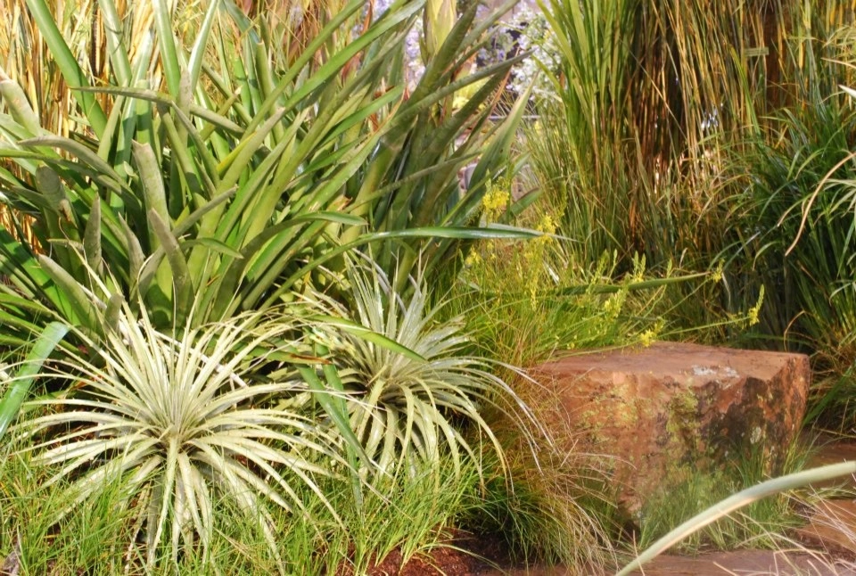 Our Work by Rock & Rose Landscapes San Francisco - Photo 7