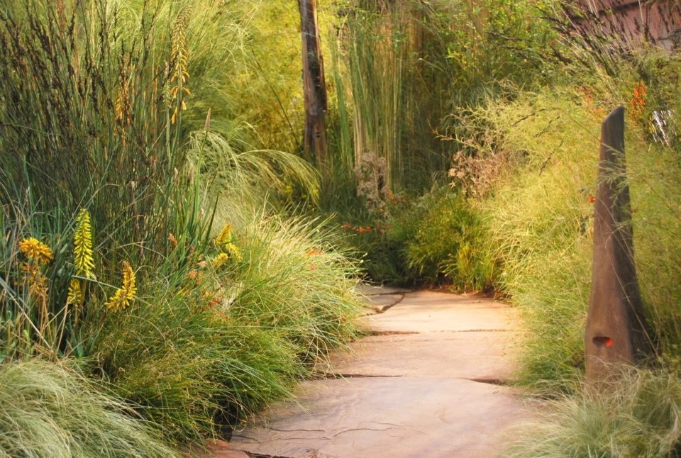 Pathways by Rock & Rose Landscapes San Francisco - Photo 5