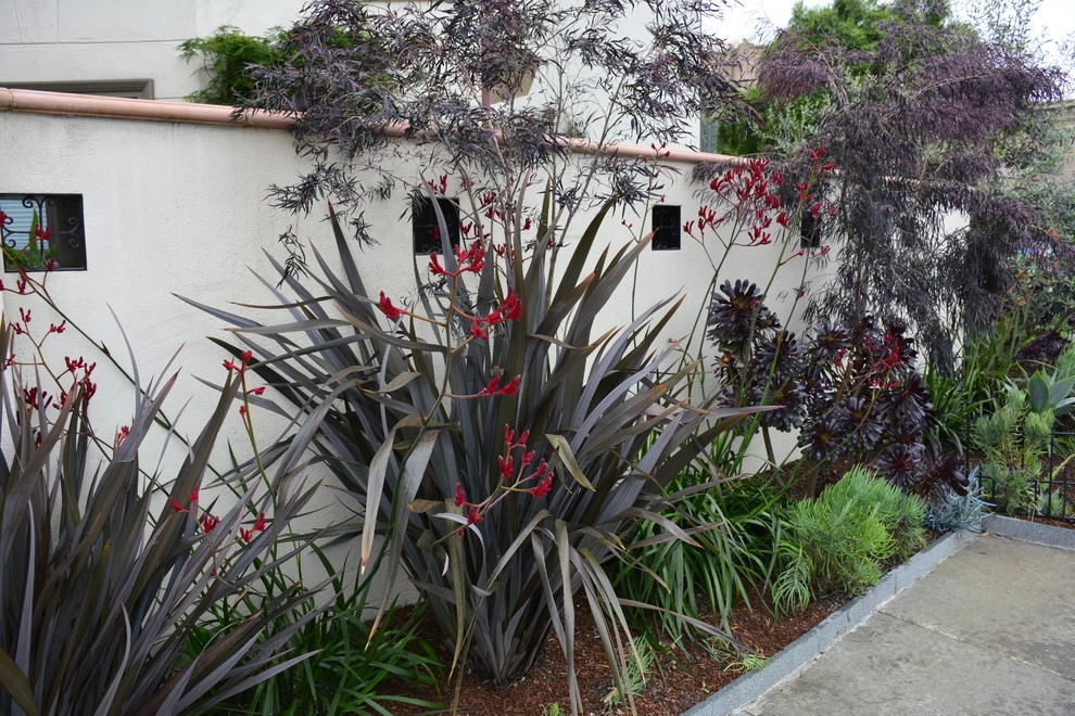 Marina Garden by Rock & Rose Landscapes San Francisco - Photo 4