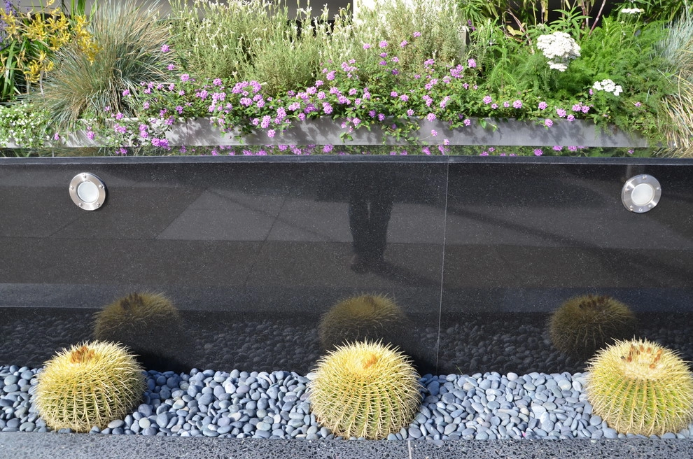 Entry Garden by Rock & Rose Landscapes San Francisco - Photo 2