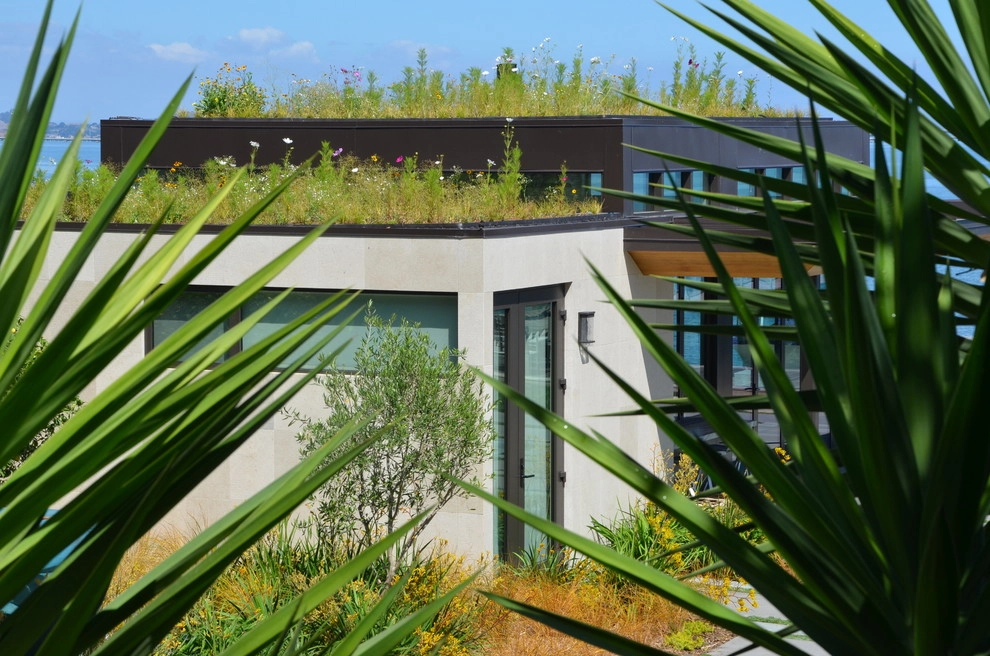 Waterfront Garden by Rock & Rose Landscapes San Francisco - Photo 2