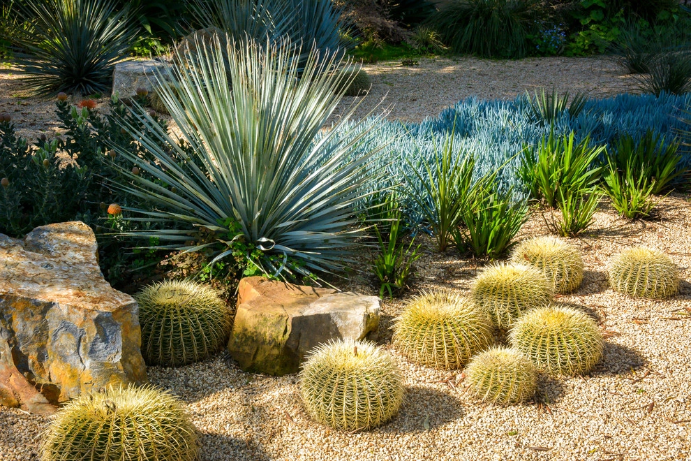 Lawn Conversion by Rock & Rose Landscapes San Francisco - Photo 3