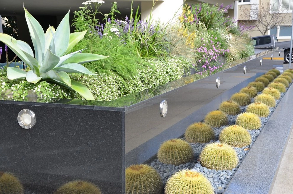 Our Work by Rock & Rose Landscapes San Francisco - Photo 2