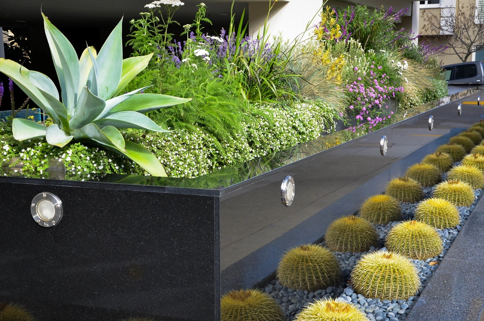 Entry Garden by Rock & Rose Landscapes San Francisco - Photo 4