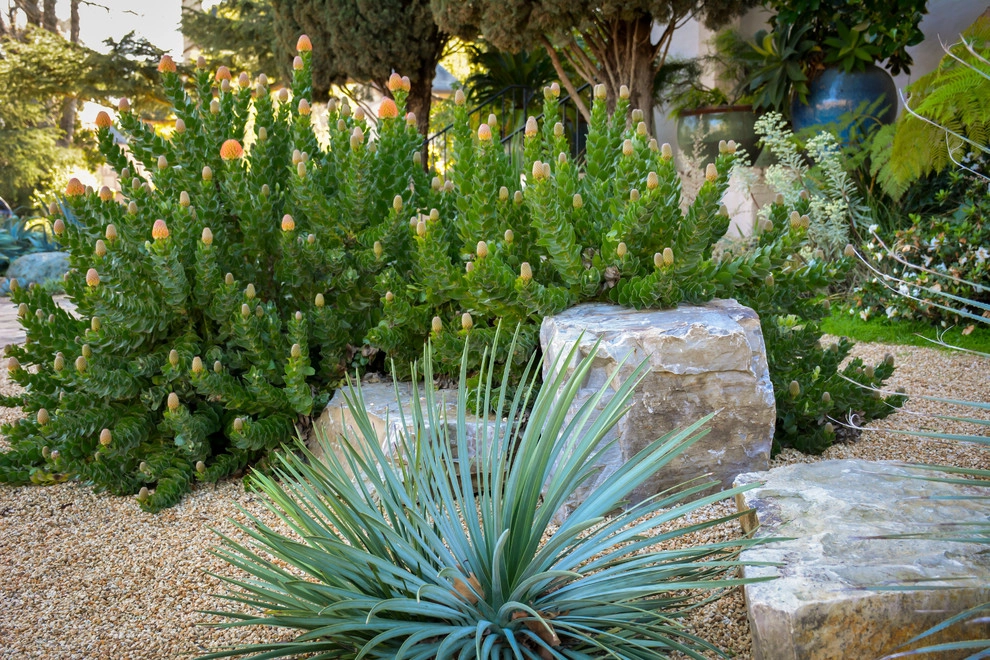 Lawn Conversion by Rock & Rose Landscapes San Francisco - Photo 4