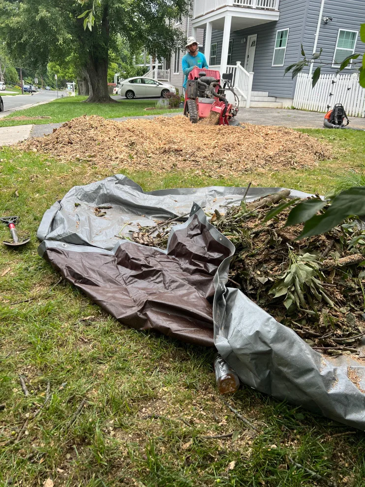 Seasonal Leaf Cleanup by Brothers Designs LLC - Photo 4