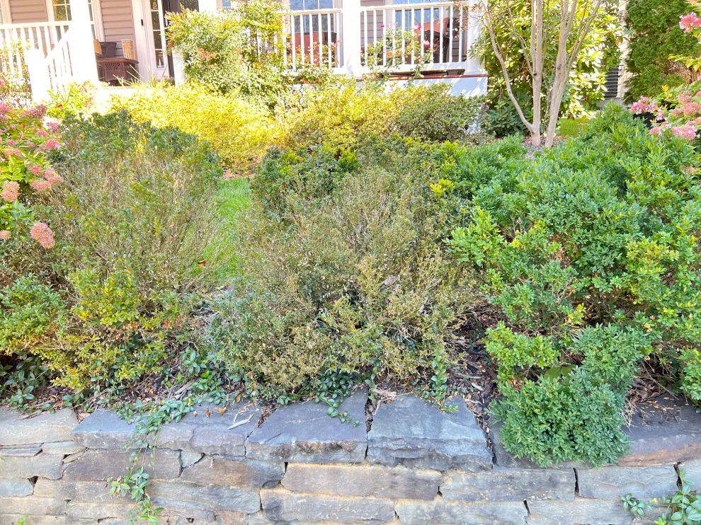 Seasonal Leaf Cleanup by Brothers Designs LLC - Photo 2