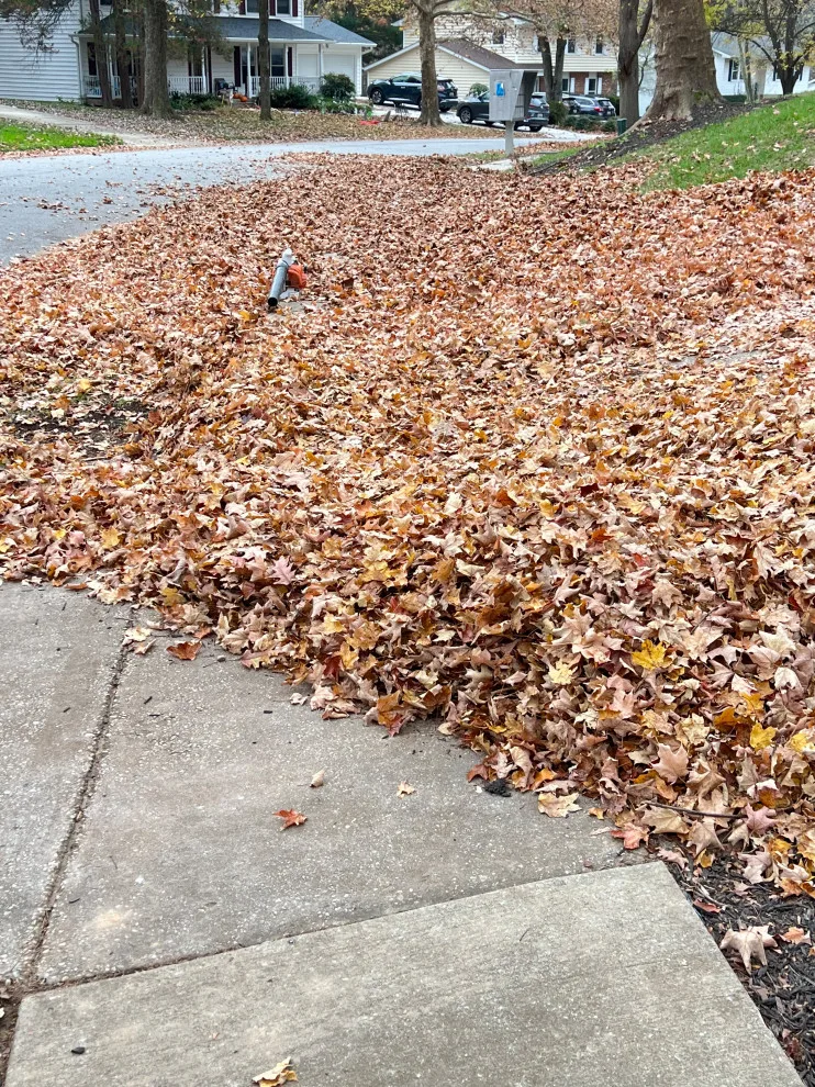 Seasonal Leaf Cleanup by Brothers Designs LLC - Photo 7