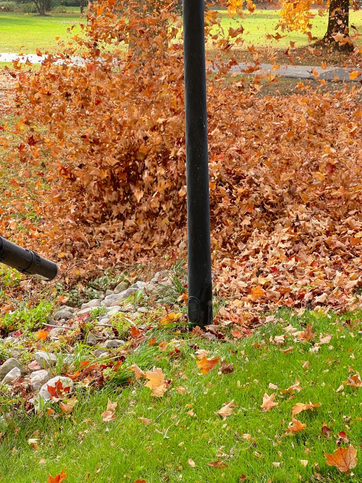Seasonal Leaf Cleanup by Brothers Designs LLC - Photo 6