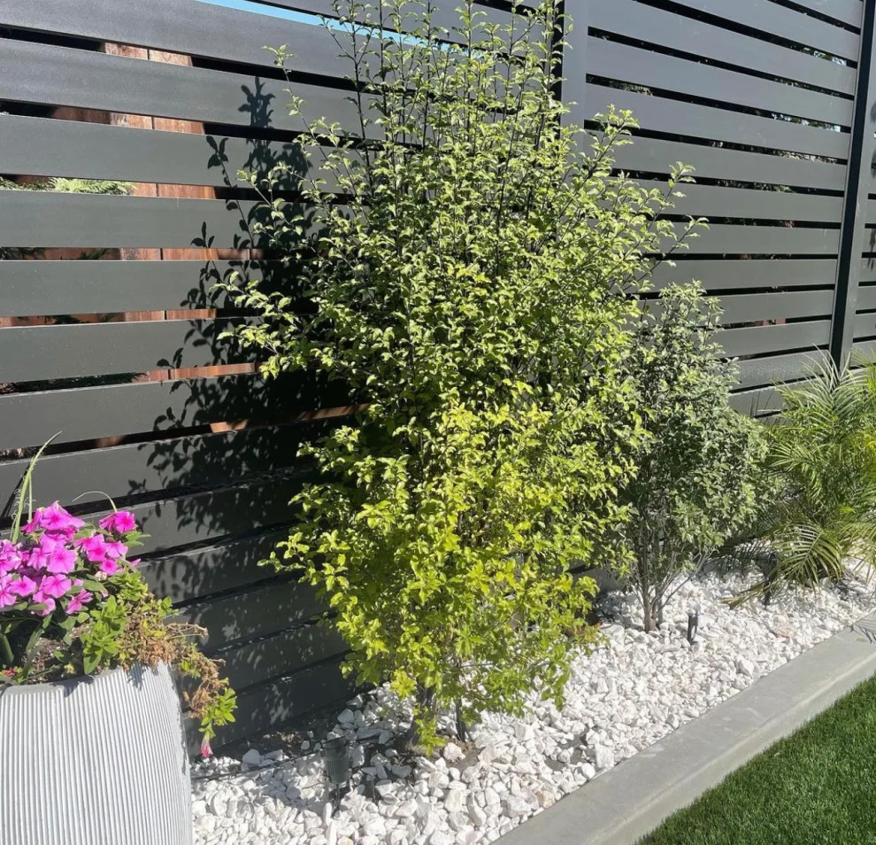 Contemporary 4K Pergolas by Ocean Pacific Patios - Photo 20