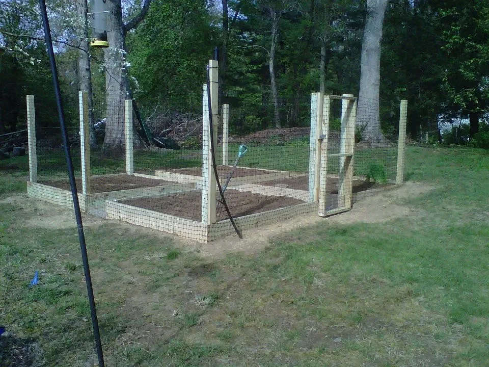 Raised Bed Enclosed Vegetable Garden by Landmark Horticultural Management - Photo 8