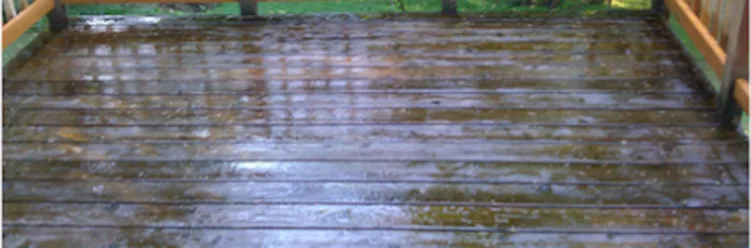 NW Deck & Fence Restoration - Photo 9