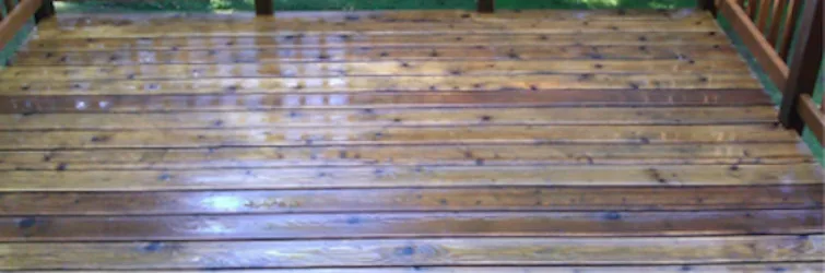 NW Deck & Fence Restoration - Photo 3