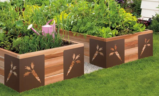 Deck Expressions - Photo 13