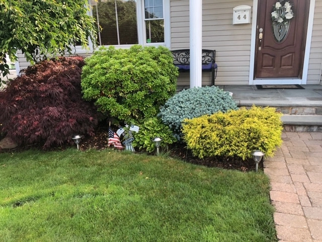 Rojas Lawn Maintenance - Photo 4