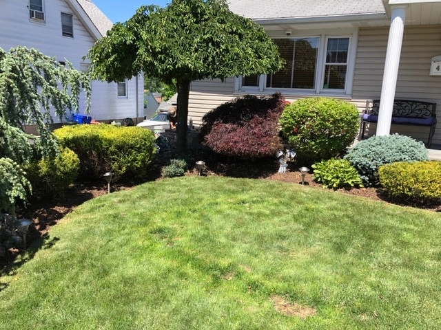 Rojas Lawn Maintenance - Photo 2
