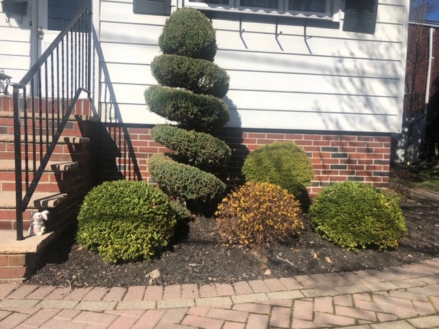 Rojas Lawn Maintenance - Photo 14