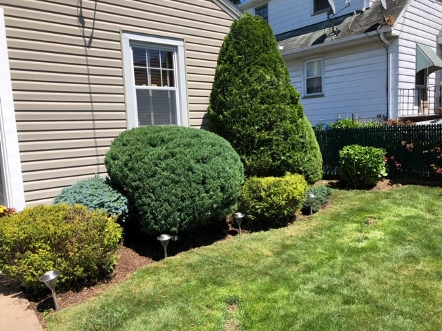Rojas Lawn Maintenance - Photo 11